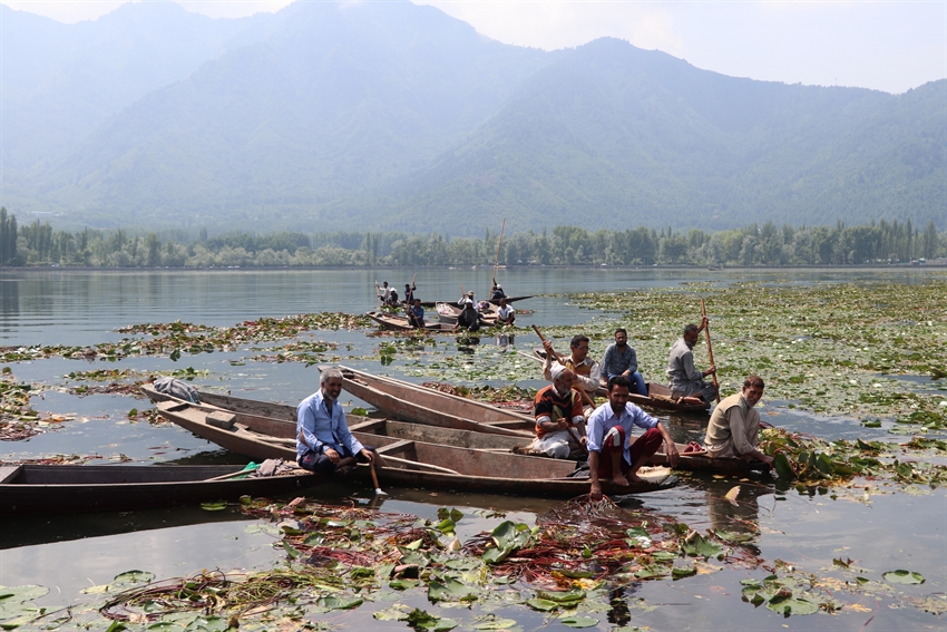 Massive de-weeding, dredging held at Dal, Nageen Lakes