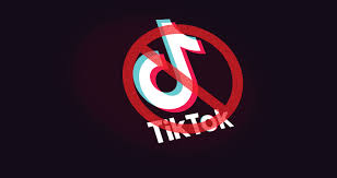 TikTok Removed From App Store, Google Play, After Govt. Bans 59 Apps