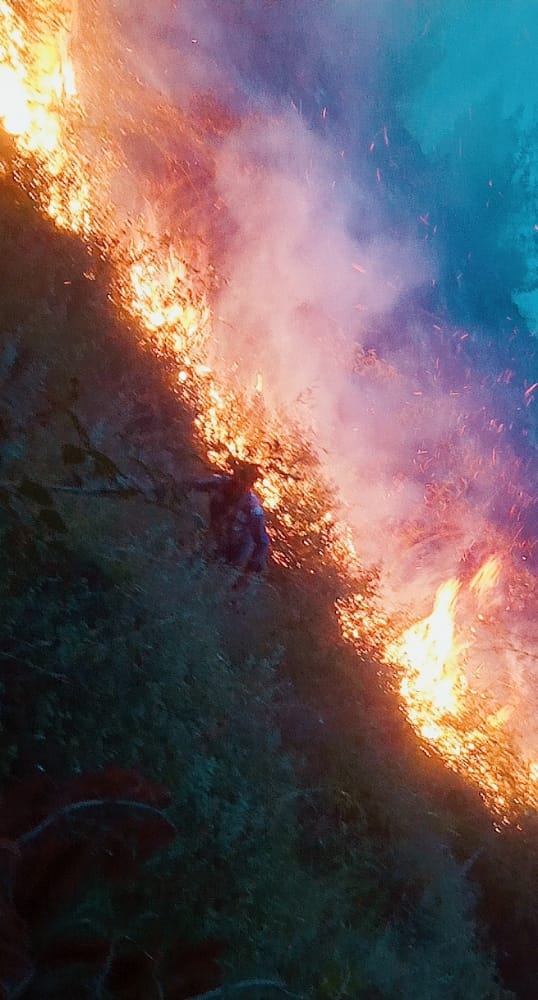 Massive forest fire breaks out in Khiram Sangnard, Anantnag