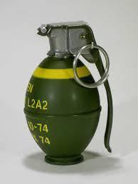 Live grenade found in Pulwama