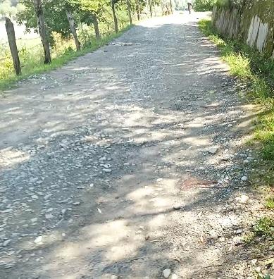 Residents of Gounchi Mohalla kangan is facing difficulties due to bad condition of road.