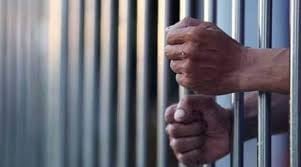 In 2019, 8664 persons lodged in J&K jails