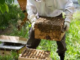 20 candidates complete Bee keeping training in Kulgam