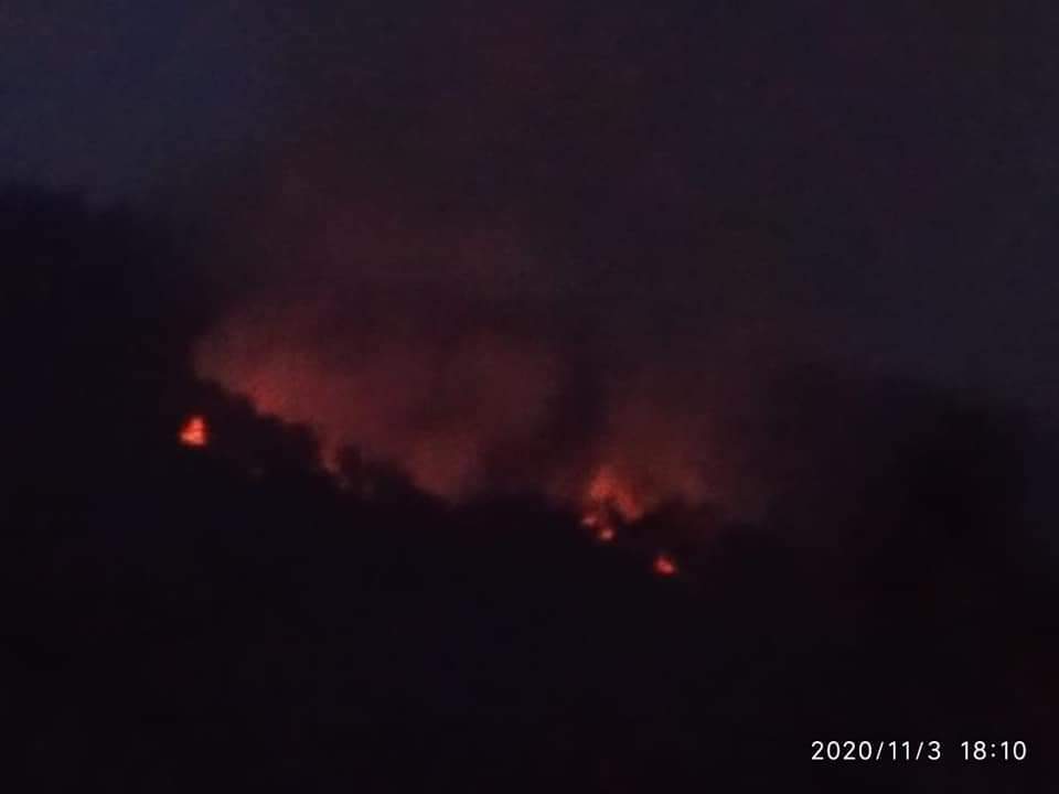 Inferno Engulfs Forest Area At Multiple Spots in Lolab