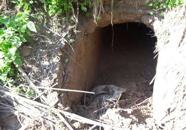 BSF unearths cross LoC tunnel in Samba, second in 3 months