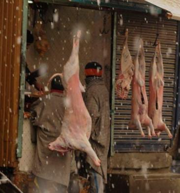 228 trucks with sheep enter Valley in 10 days, mutton shortage persists