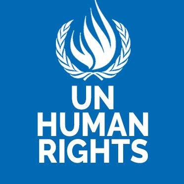 UN experts say J&K changes risk undermining minorities’ rights