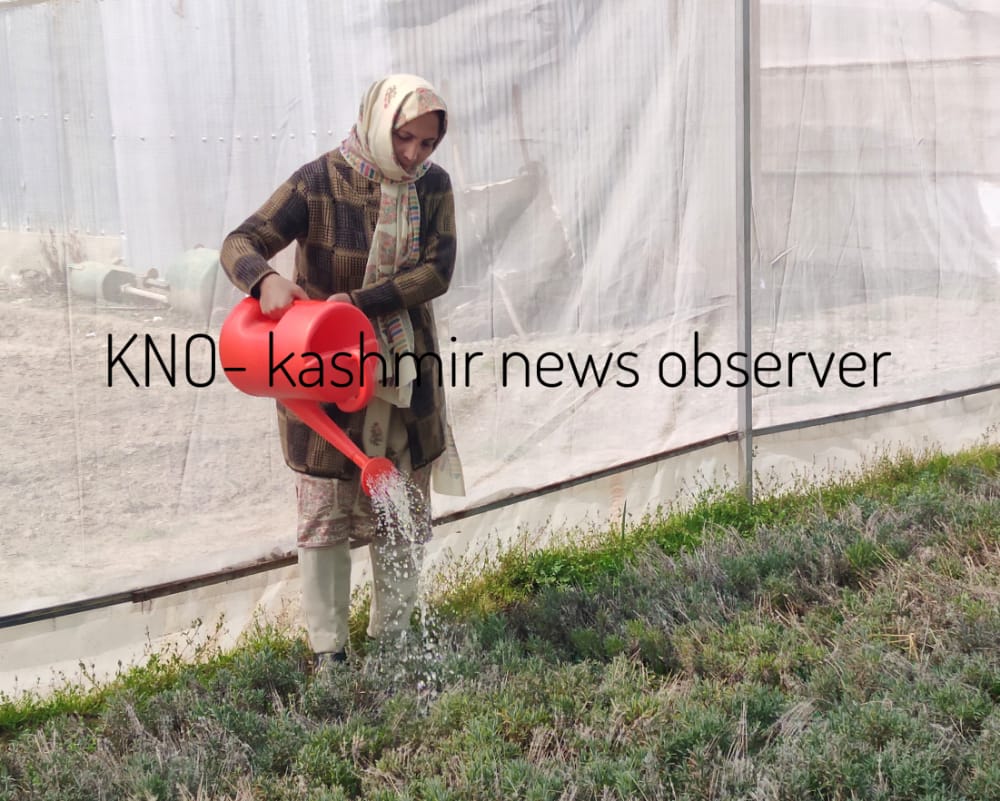 A journey to blooming flower business, meet Rubeena Tabasum