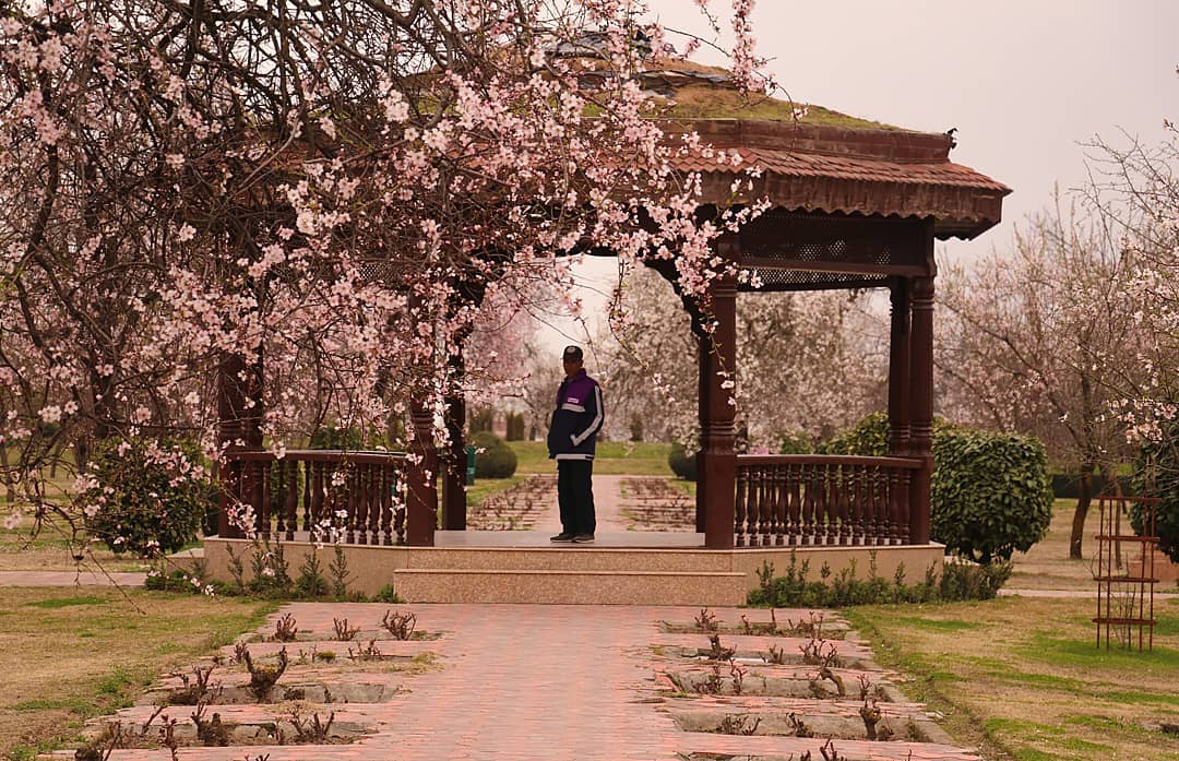 Badamwari Garden in old city all set to open on Navrooz eve