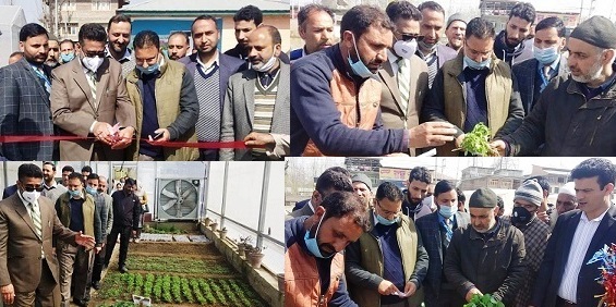 Sale Drive of Seedlings for Backyard Farming started at Bijbihara