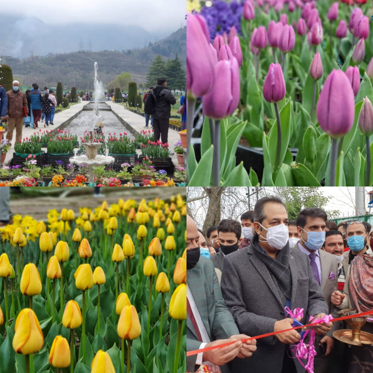 Comprehensive Survey on to explore new tourist destinations in J&K UT:  Advisor Baseer Khan