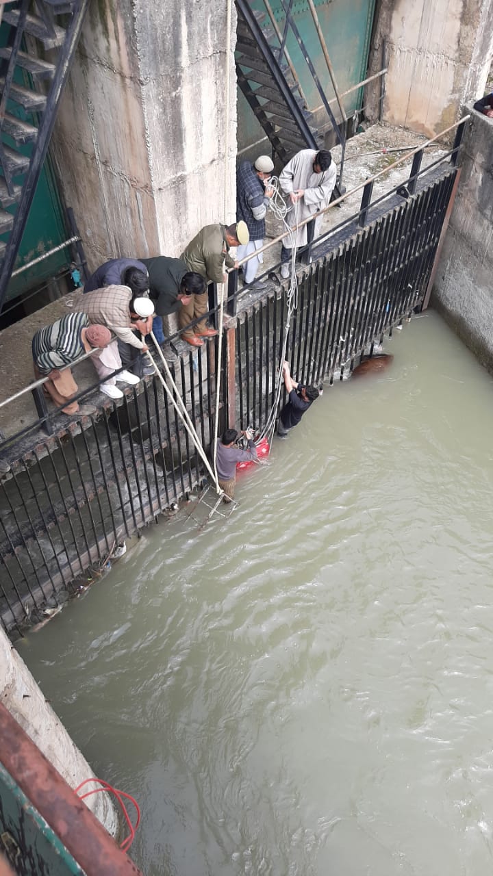 Unidentified woman’s body found in power canal in Kangan