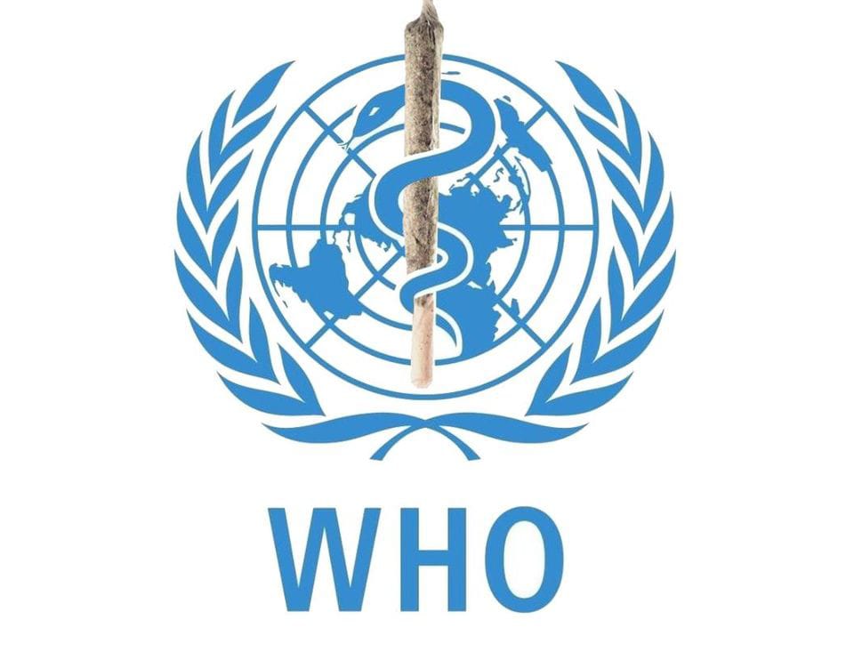 Indian B.1.617 Covid variant found in at least 17 countries, says WHO
