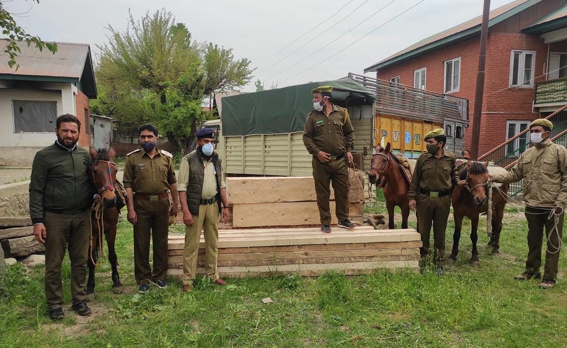 3 horses laden with illicit timber seized in Romshi Forest Range of Pulwama