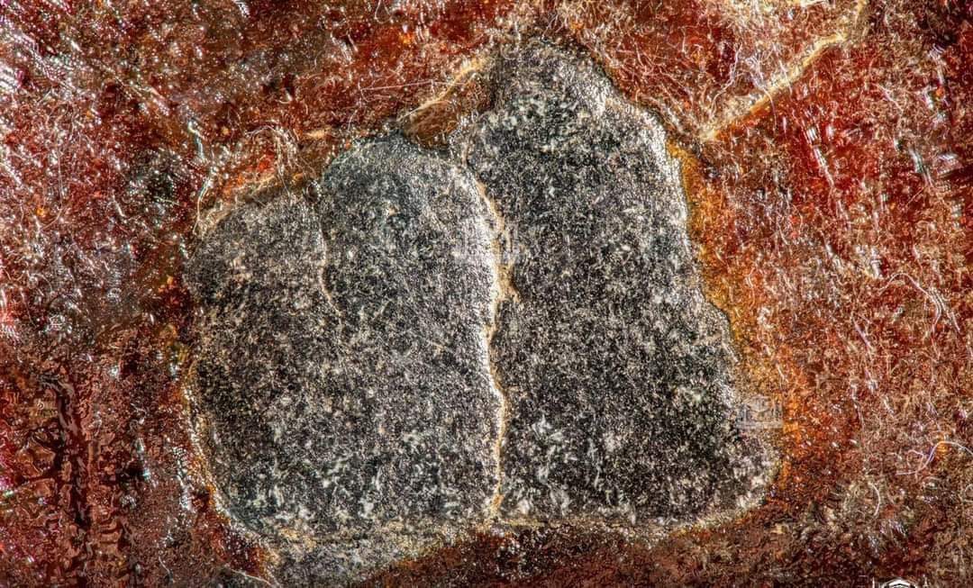 Saudi Arabia releases never-before-seen images of Black Stone in the Grand Mosque in Makkah Previous