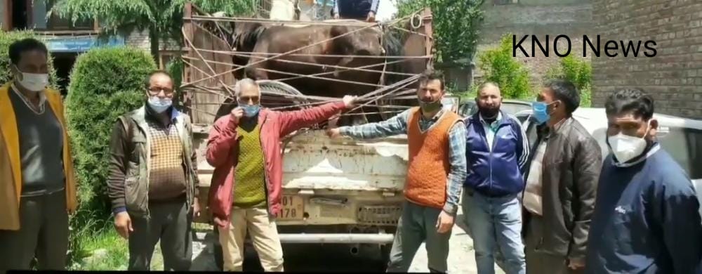 Four forest employees injured in attack by timbre smugglers in Budgam