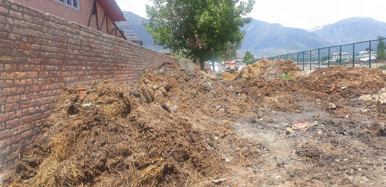Cow dung, garbage dumped on roadsides paints grim picture of Bandipora district