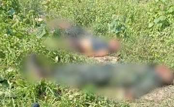 Eight militants killed in encounter with security personnel in Assam