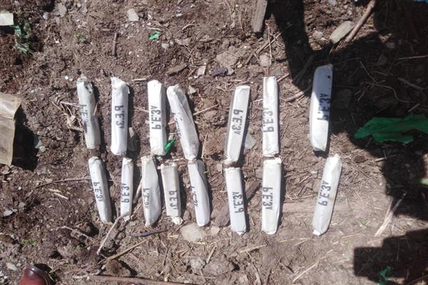 15 sticks of plastic explosives recovered in Kupwara’s Karnah: Army