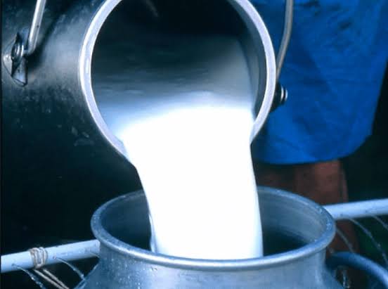 D&FCO destroys 4 qtls of milk, files case against 15 for violation of FS&SA