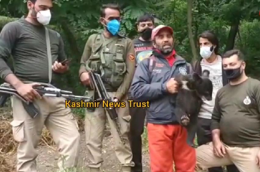 Bear cub united with mother in Ganderbal forest area