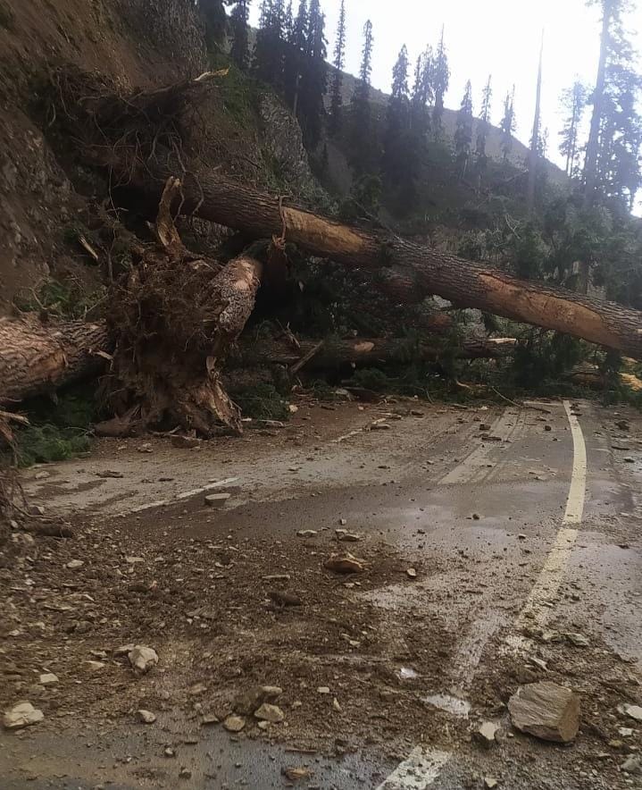 Windstorm creates havoc in Kashmir,power supply snapped in several areas