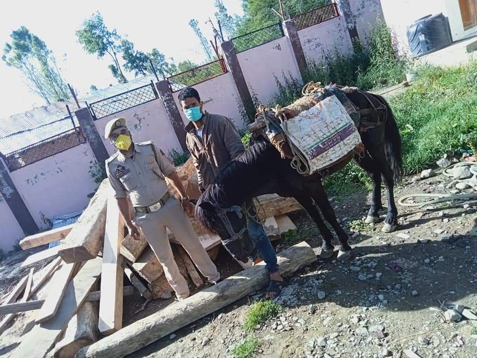 Smuggler arrested, 30-cft illicit timber seized in Budgam: Police