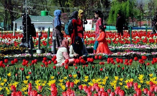 No restriction for tourists willing to visit valley: Comm Sec Tourism Hafeez