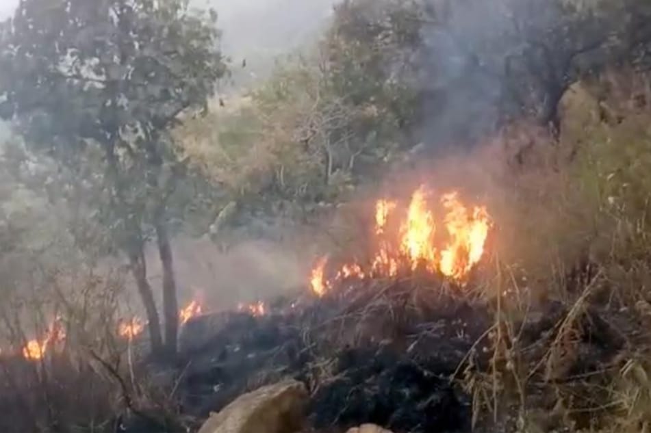 Forest Fire Triggers Landmine Blasts Along LoC in Mendhar