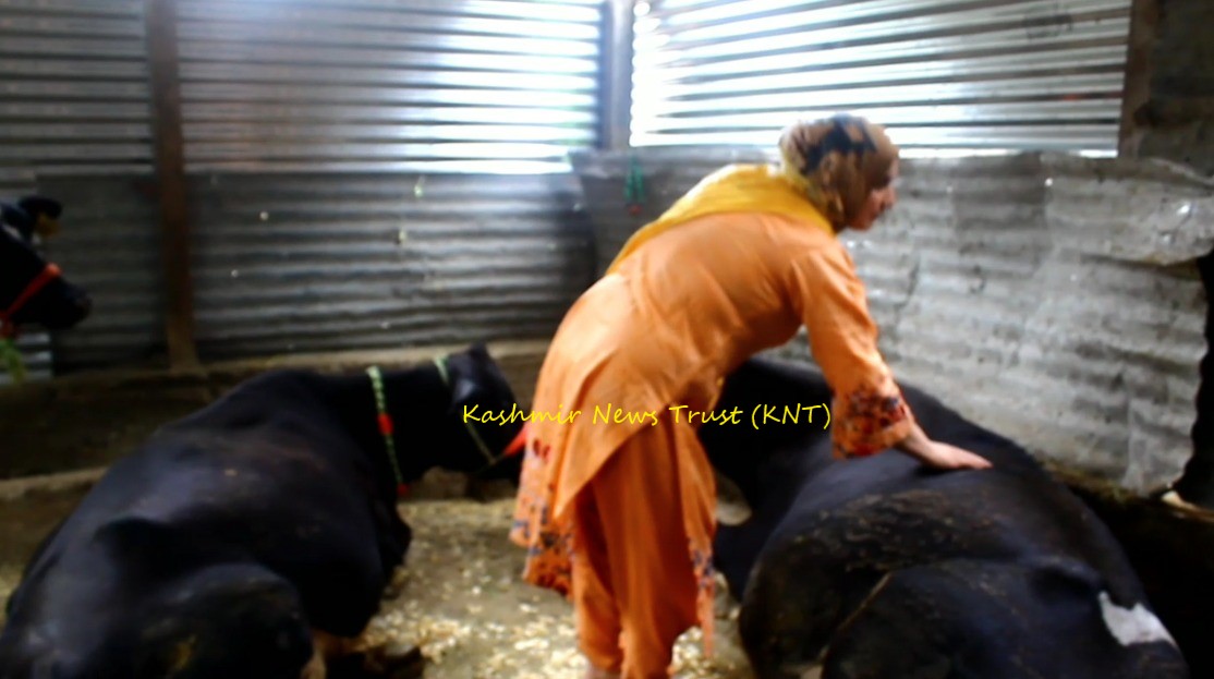 Shahzada — South Kashmir’s female entrepreneur is milking success