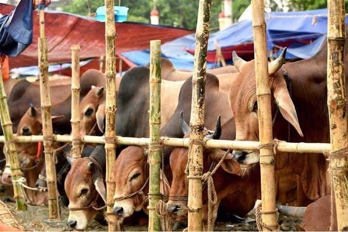 No ban on sale, slaughter of sacrificial animals on Eid-ul-Adha eve in J&K: Div Com