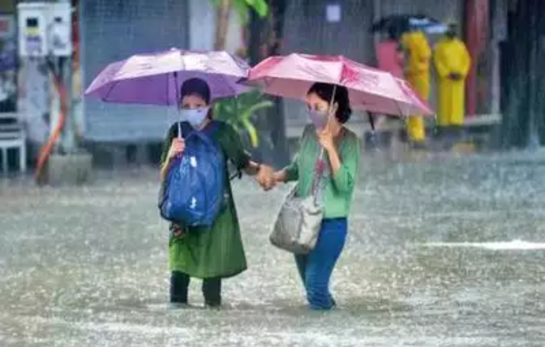 Kashmir higher reaches receive fresh Snowfall, rains in plains