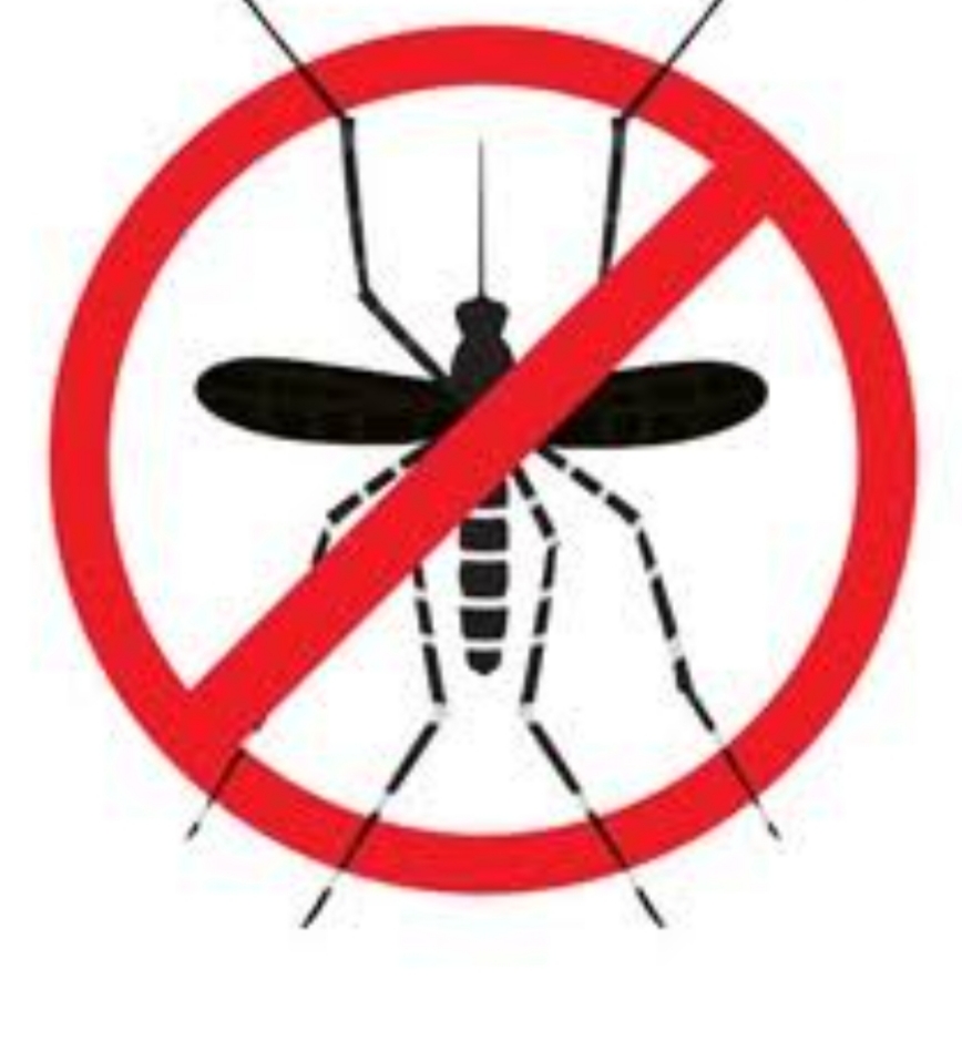 1st dengue case detected in Kashmir as 20-yr-old B’pora boy tests positive
