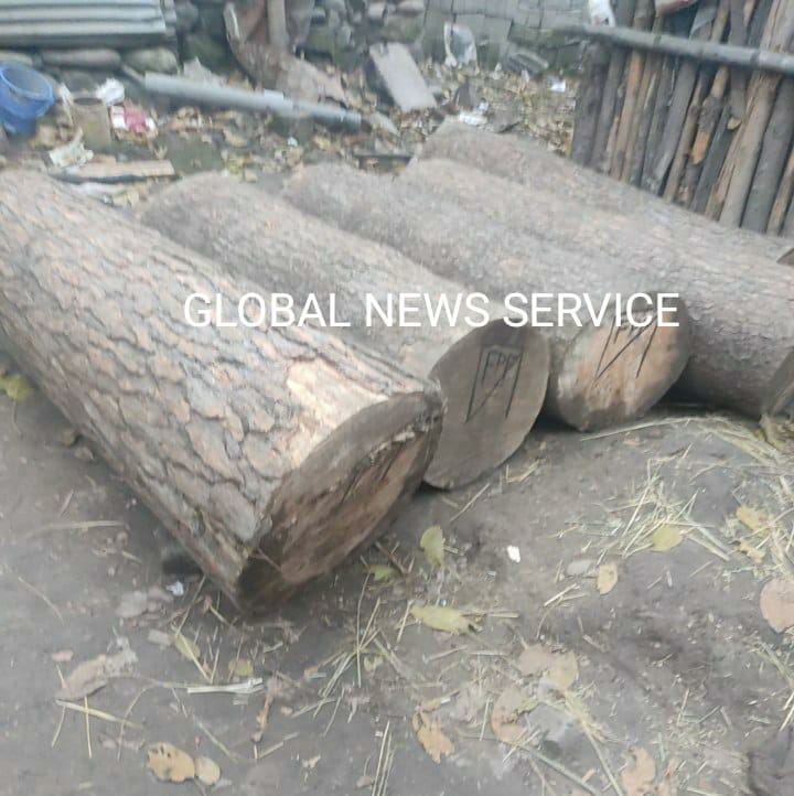 Illicit Timber Seized in Kokernag