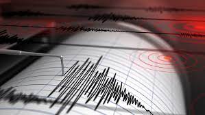 Light intensity earthquake jolts Kashmir, epicentre at Pahalgam