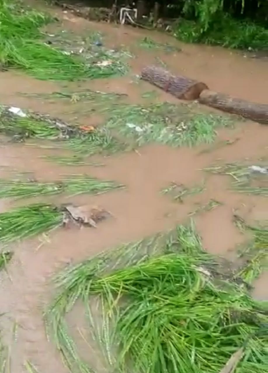 Kupwara: Flash floods cause widespread damage to agricultural fields in Lolab