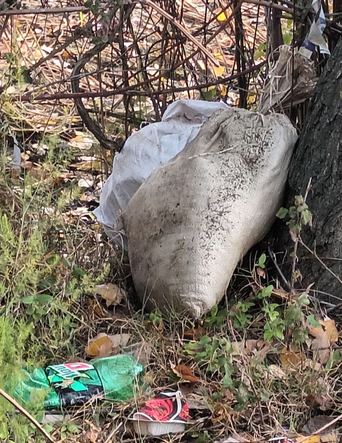 Suspicious Bag Found in Srinagar Outskirt, No IED: Police