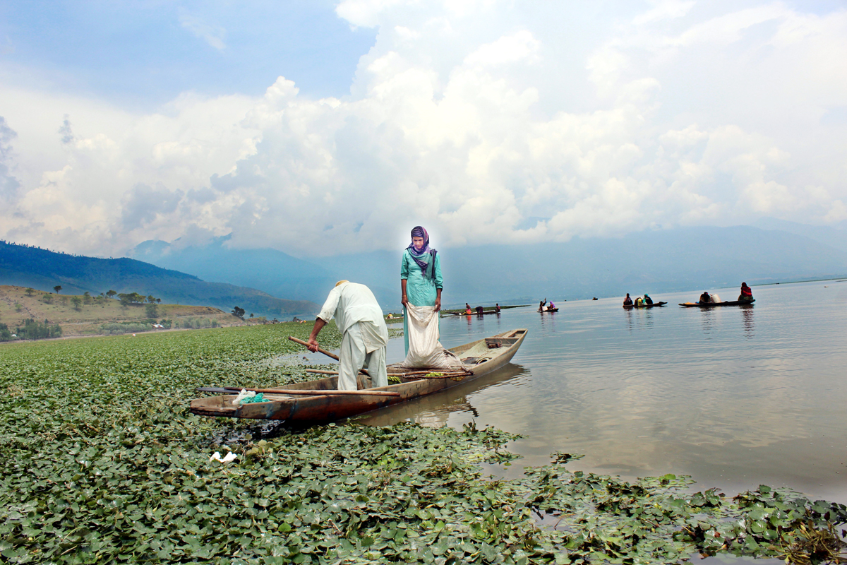 Conservation of Asia’s second largest Lake—Wular raise business hopes of fishermen, locals