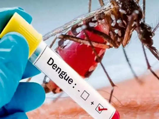 Dengue biggest challenge in Jammu: GMC Principal Jammu
