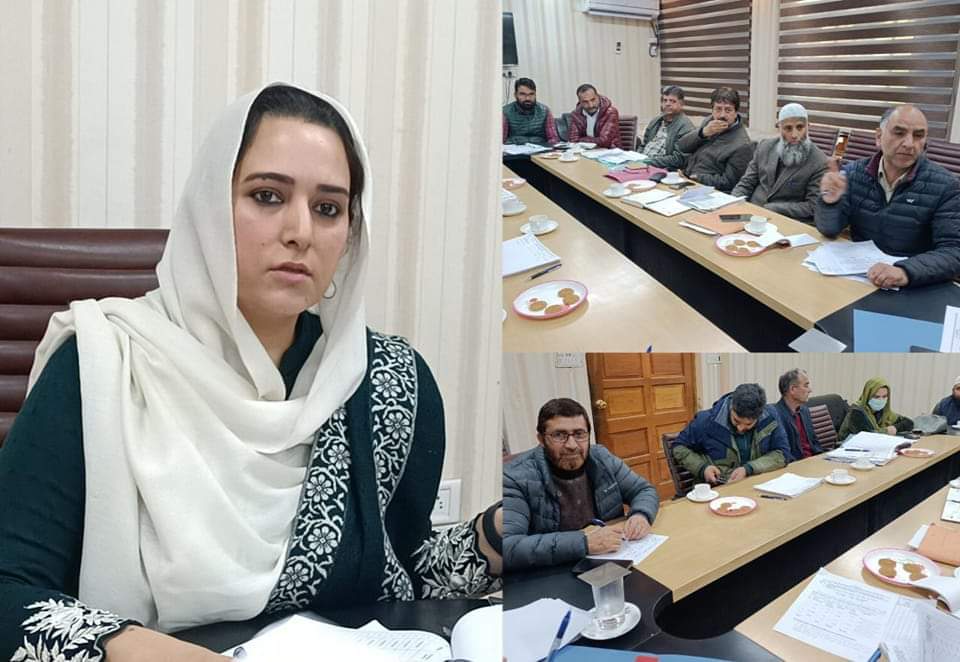 Dr Syed Sehrish Asgar Reviews Progress of Works under ADP, BADP, SSY and Others