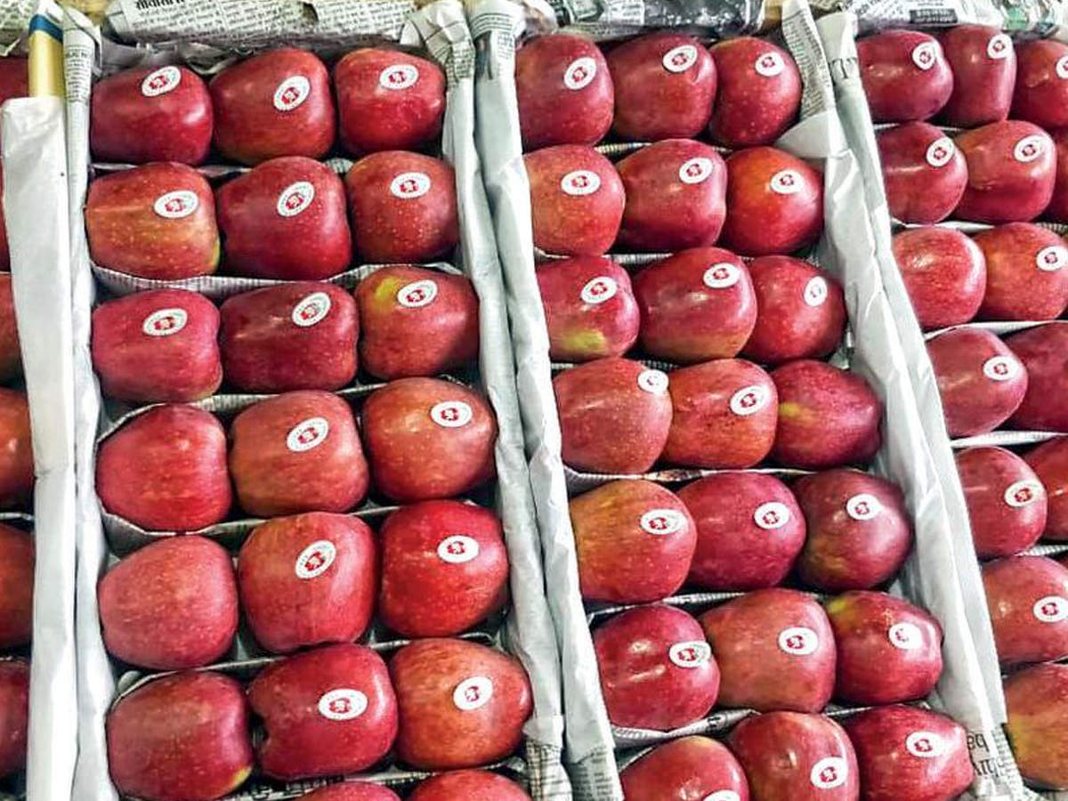 Drop In Kashmir Apple Prices Due To Bumper Harvest: Centre