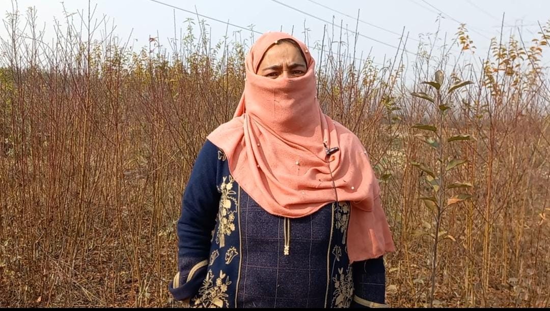 Earning out of Trees: Kulgam woman earns her living from a Tree Nursery