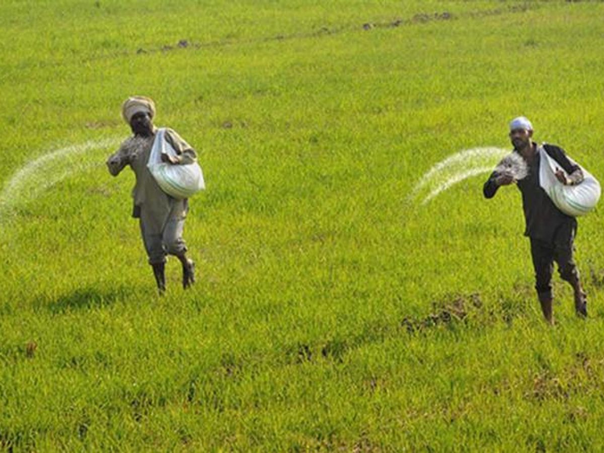 Amid dry spell, Agri expert stresses on need for contingency plan for farmers