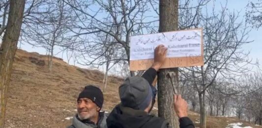 Kulgam NC leader gets notice for occupying government land in Anantnag