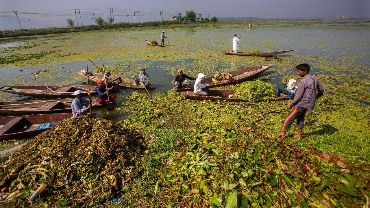 Where does the Houseboat sewage go?