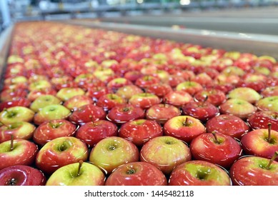 Apple comes out of cold storage