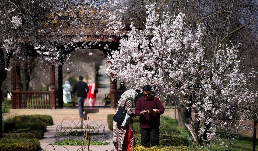 Famous Badamwari thrown open for visitors