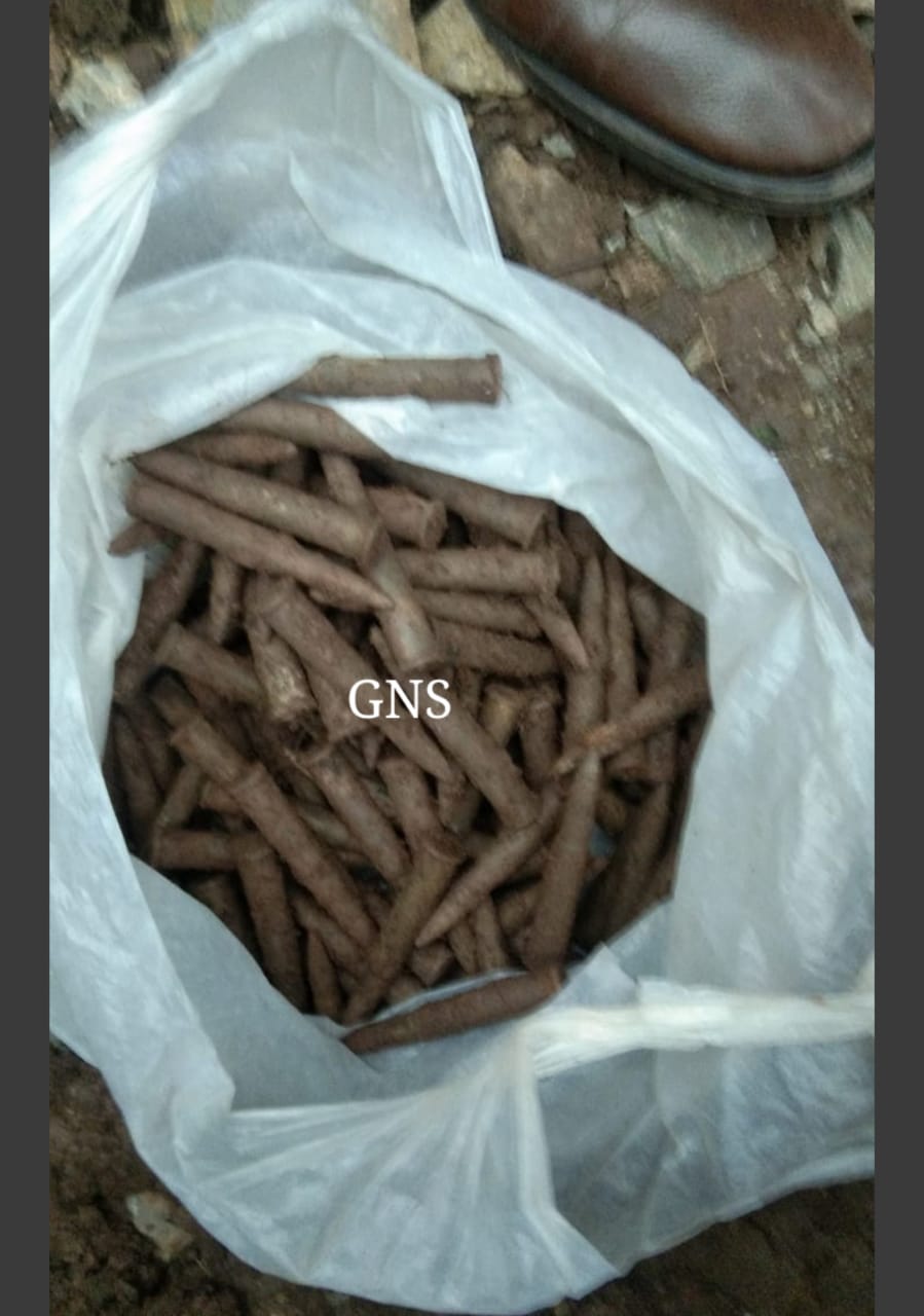 6 rusted grenades, 127 Pika rounds recovered in Rajouri