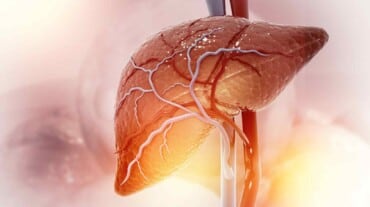 World liver day: Fatty liver cases on rise in J&K; doctors blame lifestyle, consumption of junk food