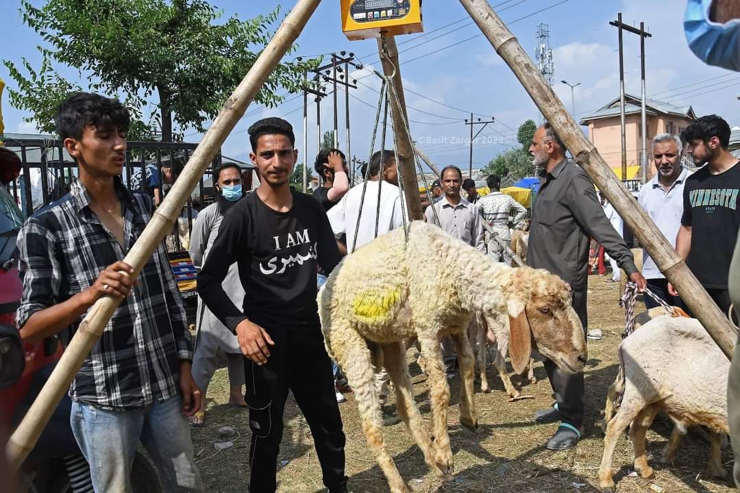 Sacrificial animals sold at arbitrary prices, allege people